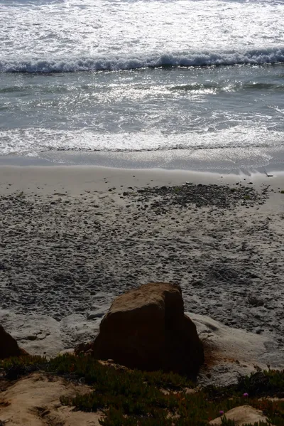 DSC_6944 (Large).JPG